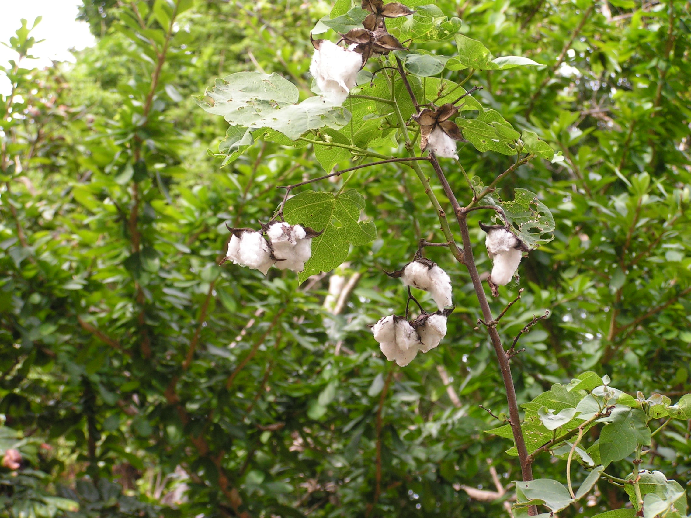 ./2005/Puerto Rico/Part 2/PICT0272.JPG